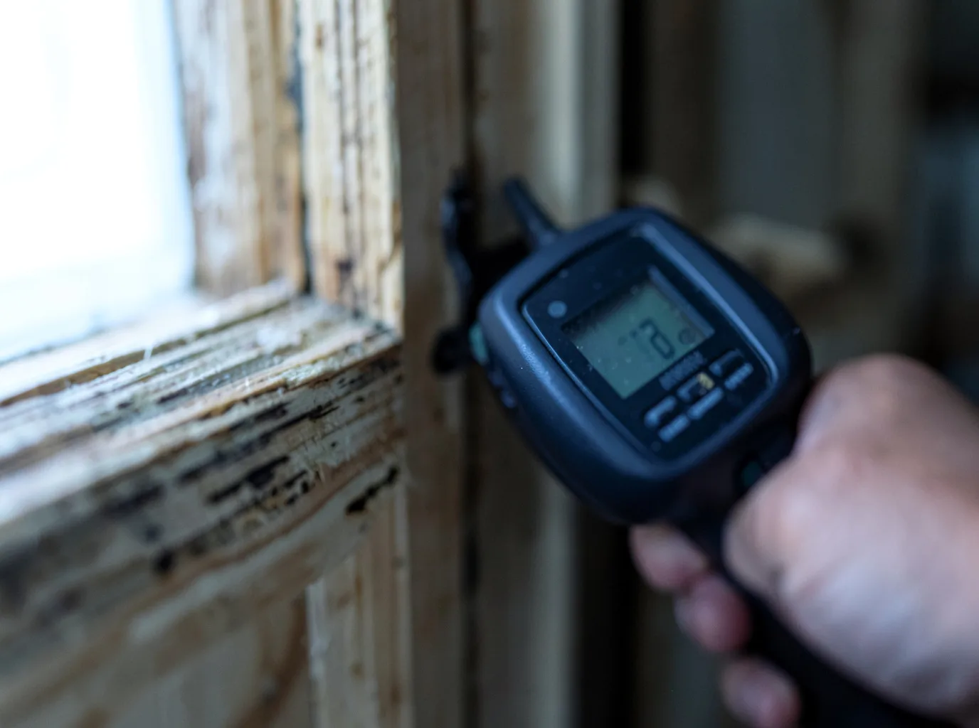 Moisture Inspection And Documentation in Britt, IA